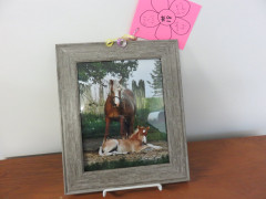 #18 Framed mare & foal photo donated by Renee Cybul.