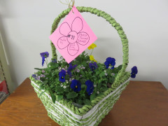 #71 Pansy Flower Basket donated by Grand River Greenhouse-Markesan
